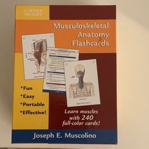 Musculoskeletal Anatomy Flashcards by JosephE. Mussolini